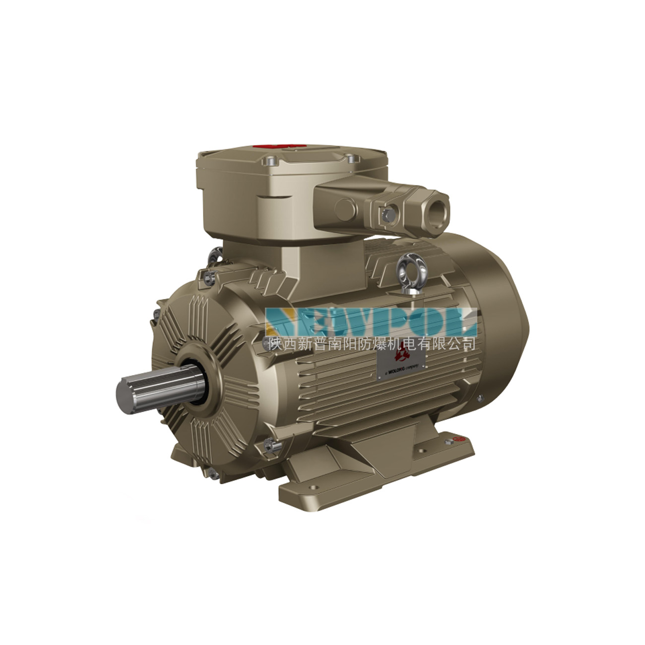 全新一代YBX3系列高效率隔爆型三相異步電動(dòng)機(jī)(圖1) 全新一代YBX3系列高效率隔爆型三相異步電動(dòng)機(jī)(圖1)